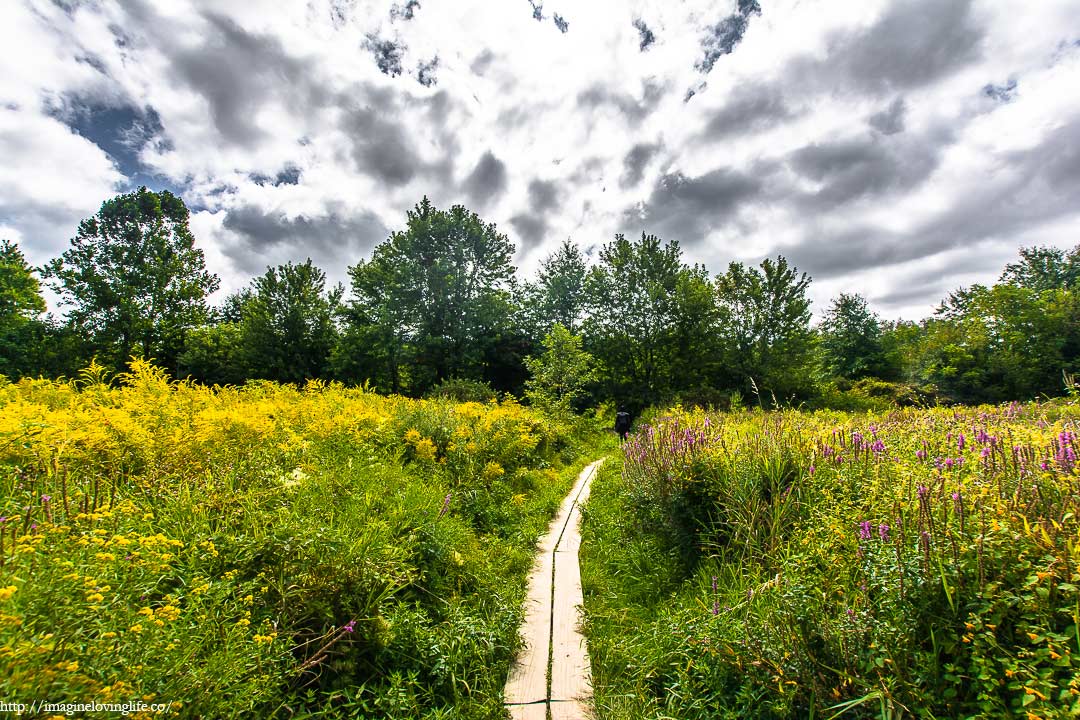 pochuck boardwalk small plank trail